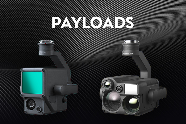 Popular Categories Payloads