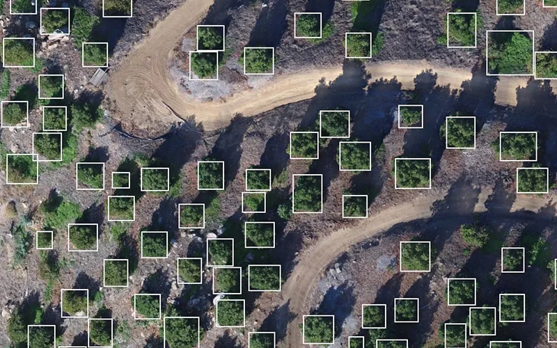 drone survey , survey with drone