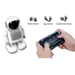 DanceBot Robert for Robotics Learning - Image 3