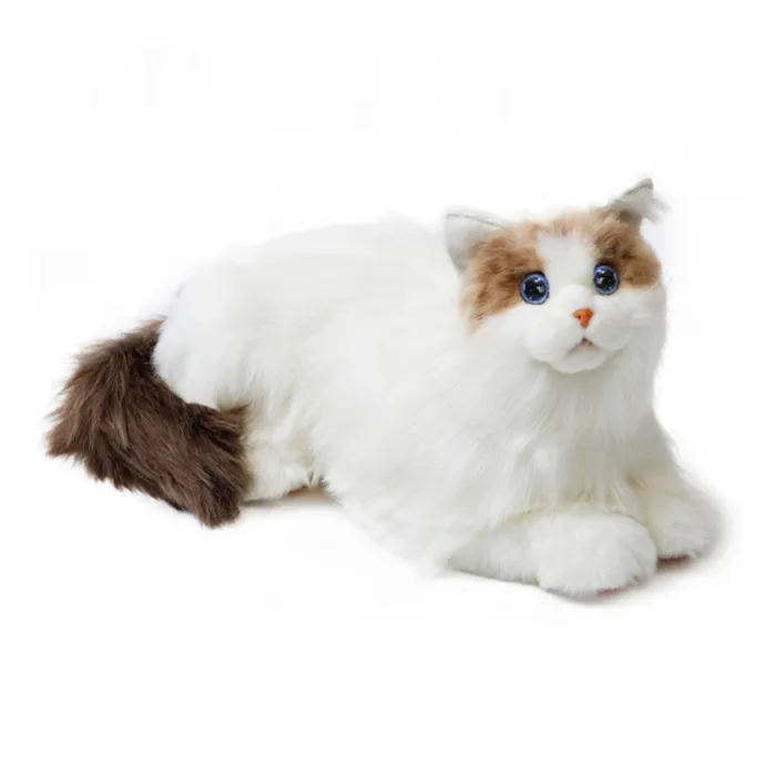 Metacat Companion Robot - Image 1