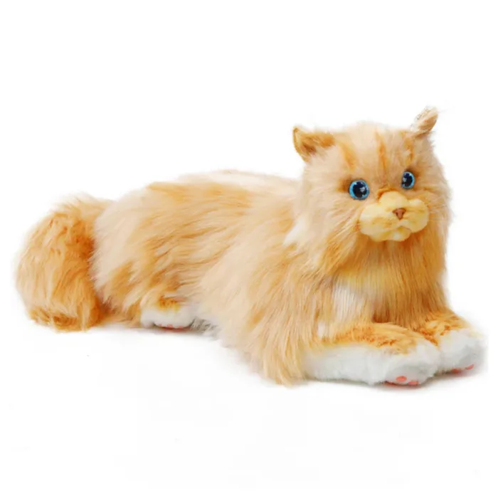 Metacat Companion Robot - Image 2