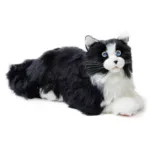 Metacat Companion Robot - Image 5