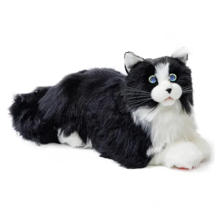 Metacat Companion Robot - Image 5