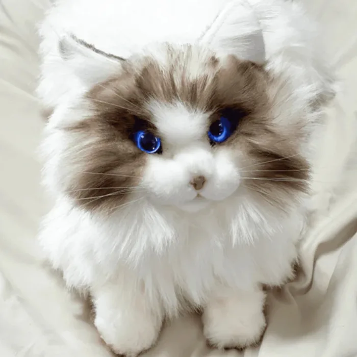 Metacat Companion Robot - Image 4