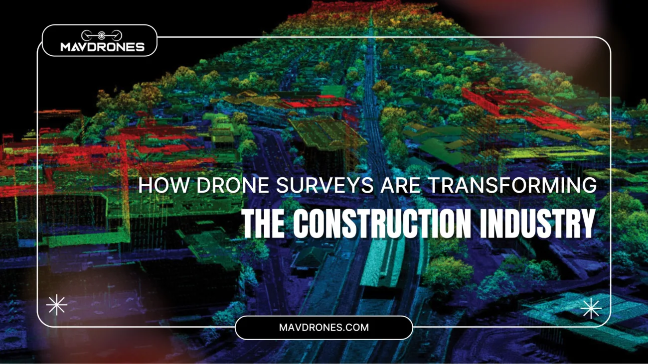 drone survey
