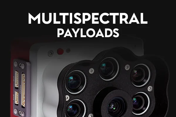 Popular Categories Payloads 02