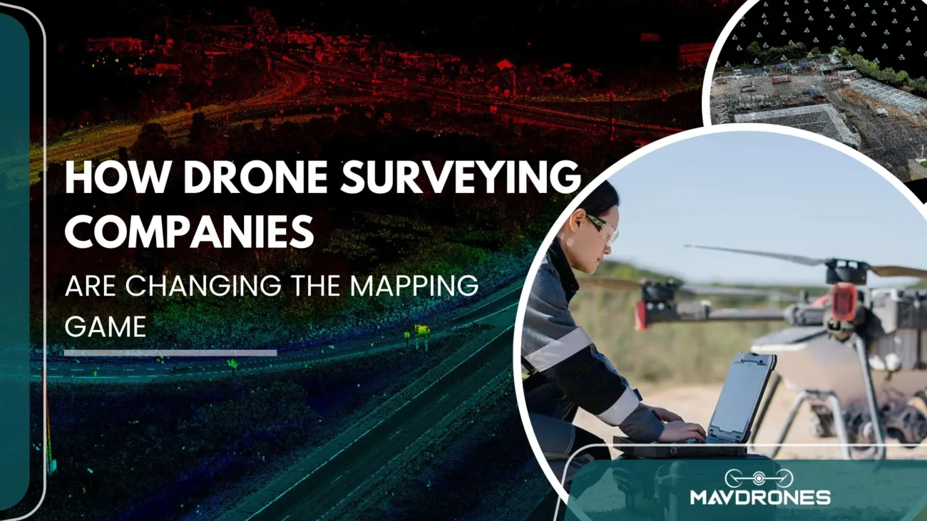drone survey