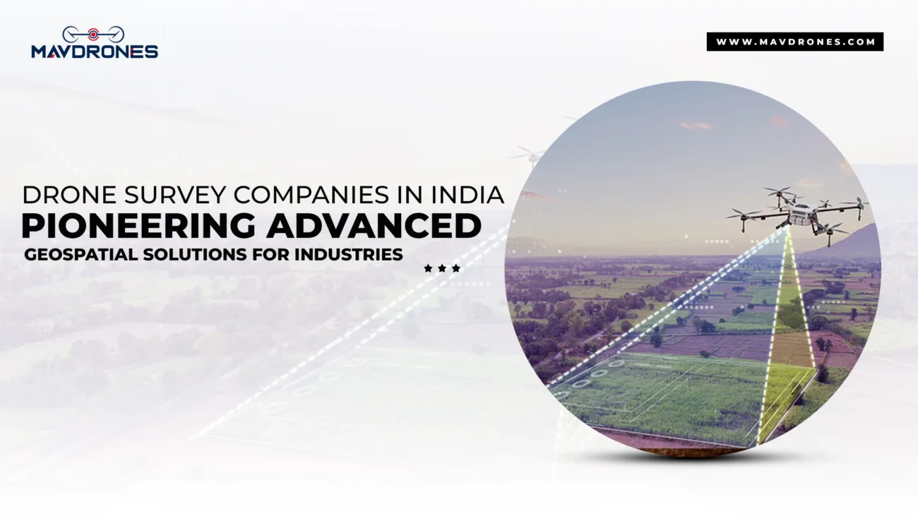 drone survey , drone survey companies in india , drone survey price