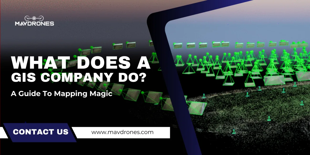 gis company , gis companies in india