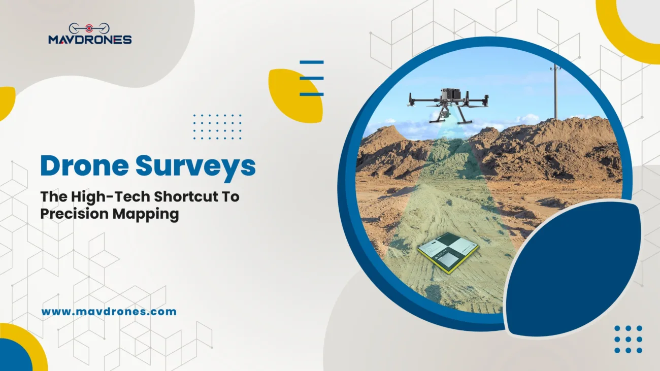 drone survey