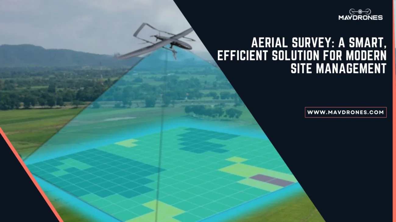 aerial survey