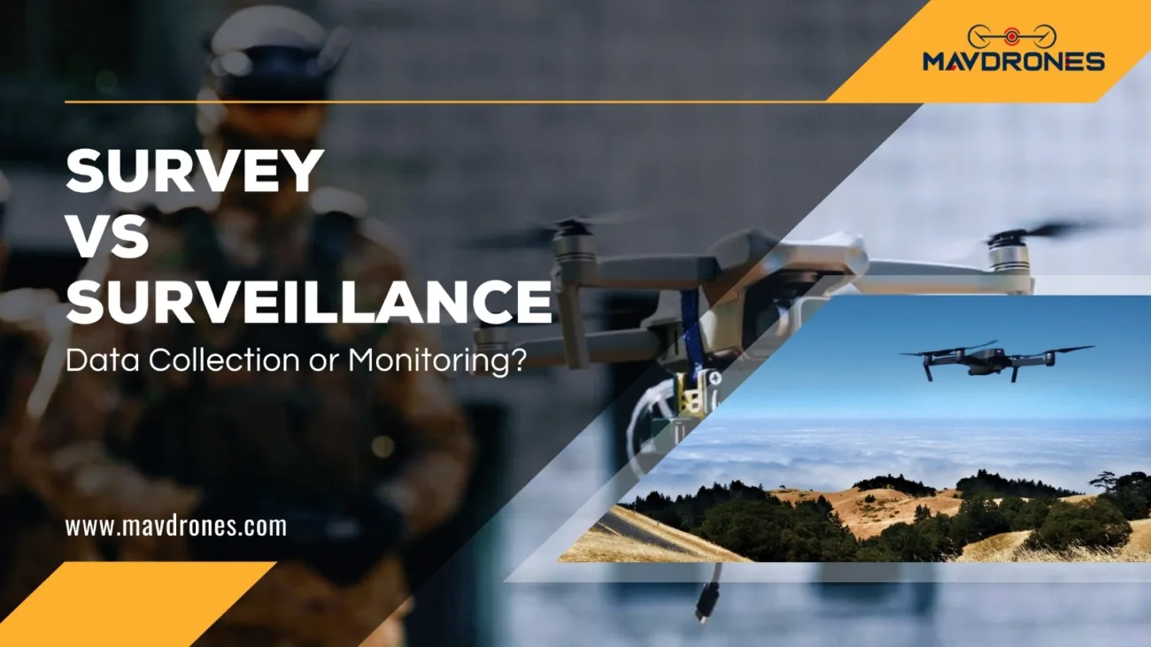 survey , surveillance