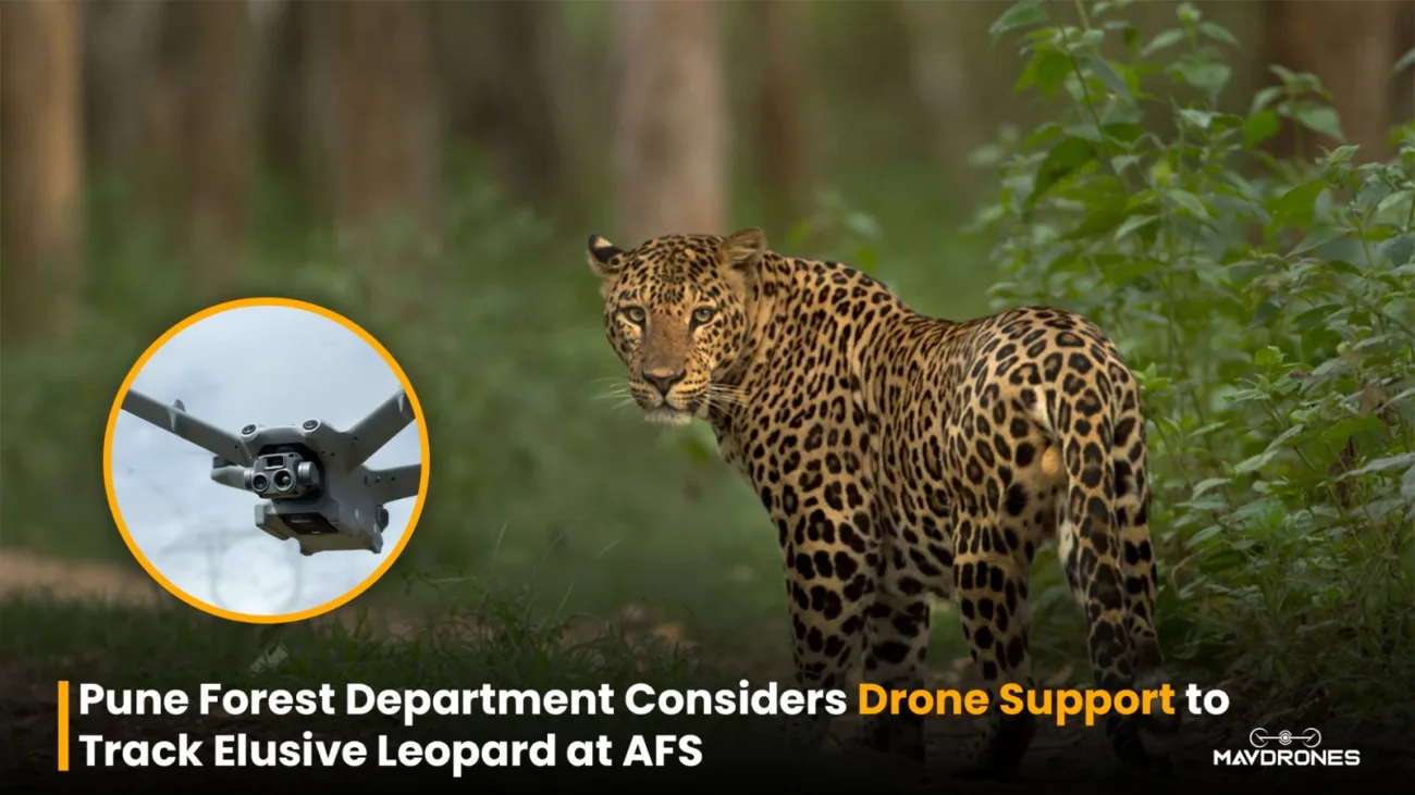Pune Forest Department Considers Drone Support to Track Elusive Leopard at AFS