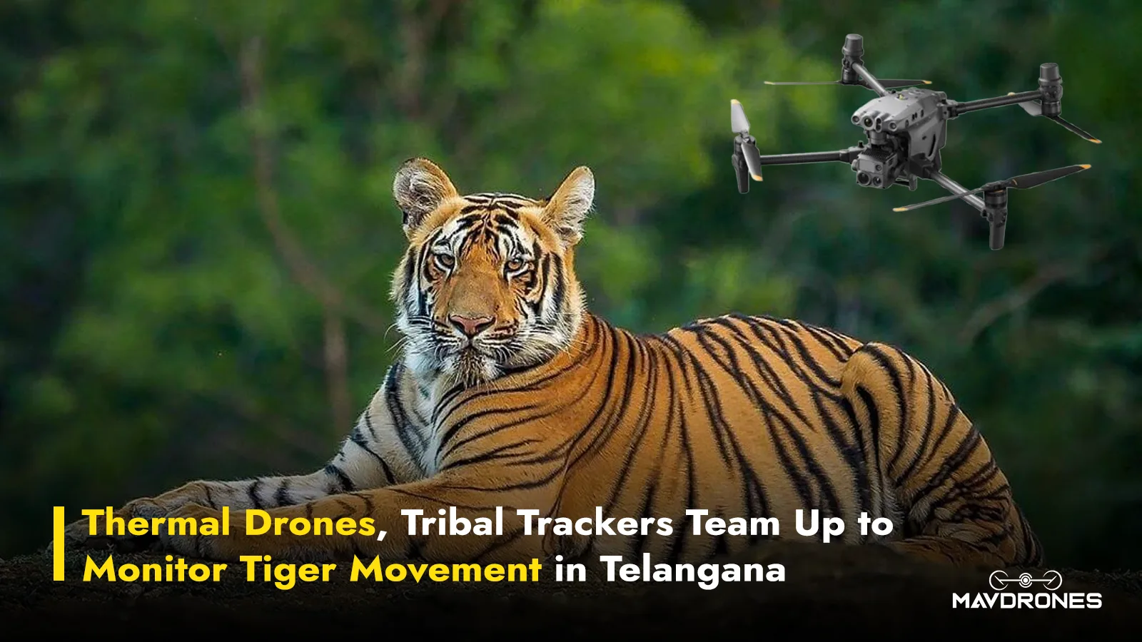 thermal drone tiger movement tracking telangana