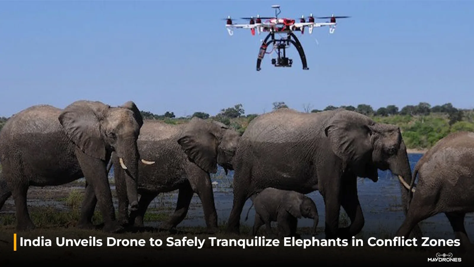 India Unveils Drone to Safely Tranquilize Elephants in Conflict Zones 1 India Unveils Drone to Safely Tranquilize Elephants in Conflict Zones