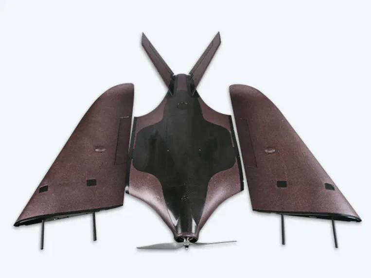 bats